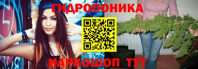крисы Шебекино
