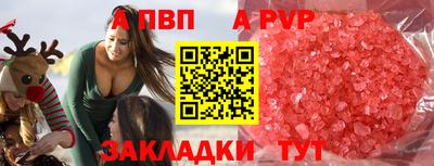 крисы Шебекино