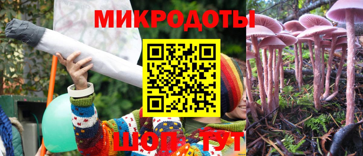 Кировск  Галлюциногенные грибы ЛСД  Вход с VPN 