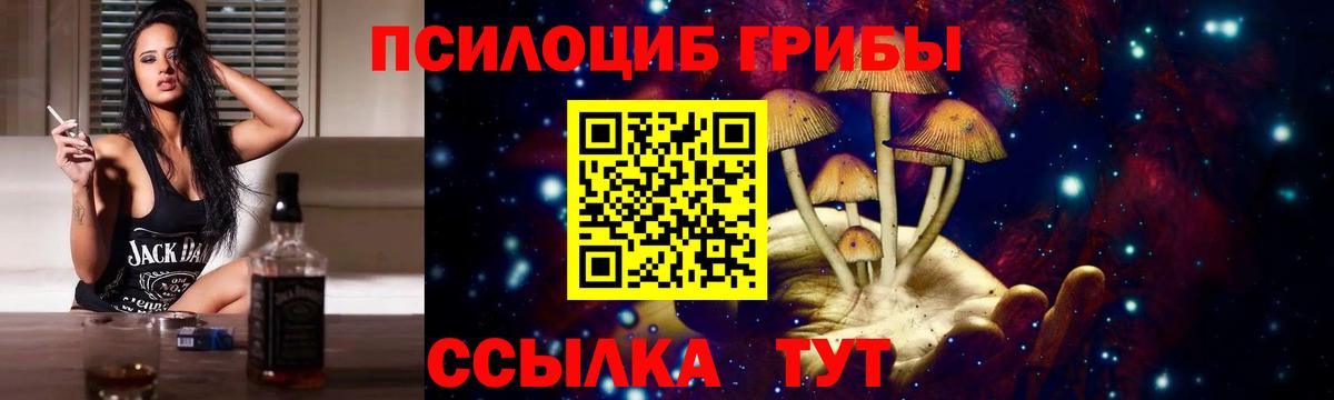 Псилоцибиновые грибы GOLDEN TEACHER Кировск